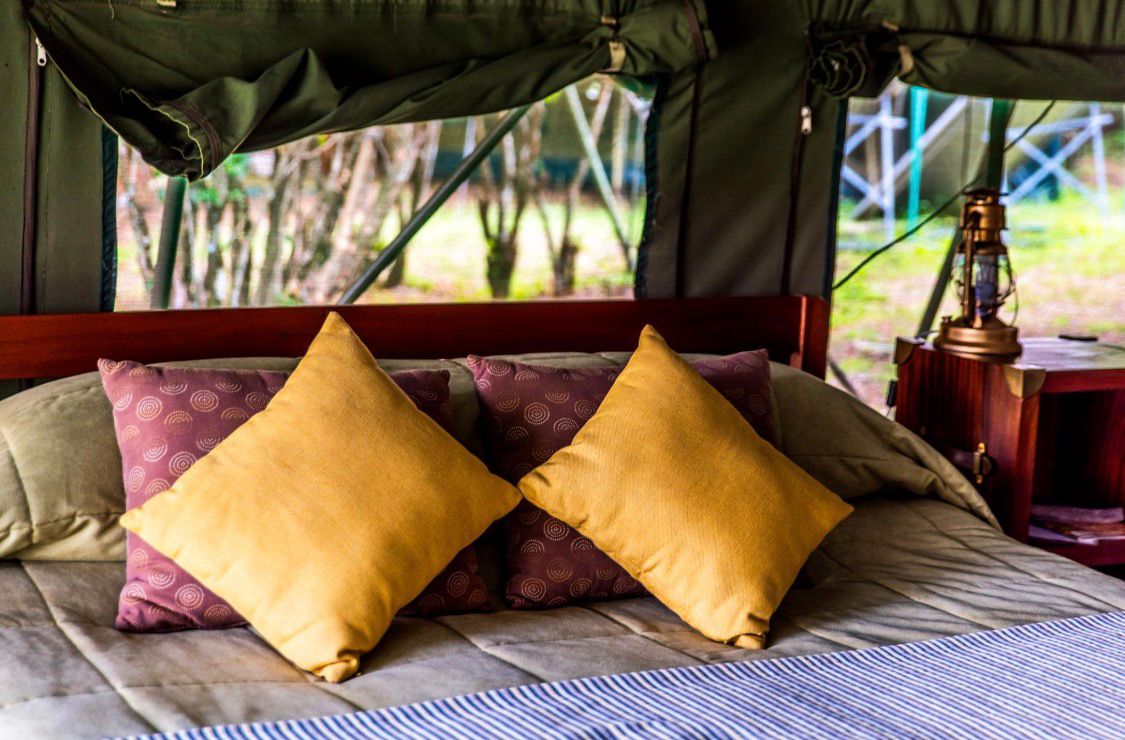Safari Room